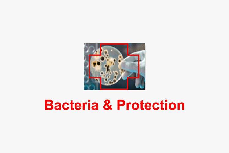 Bacteria & Protection logo