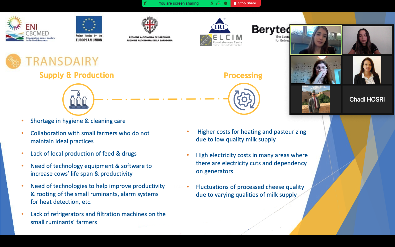 TRANSDAIRY: Focus Group on the contribution of Bio Nano Technology in the Dairy Value Chain