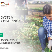 The food system challenge Cycle 2-B 1200x628