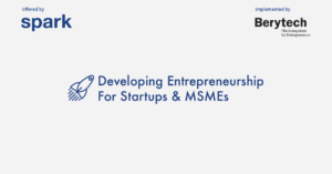 developing entreprise for SMEs in lebanon
