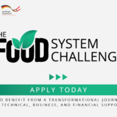 the food system challenge CFA 1200x628