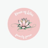 House-of-Lilies-750x500px-5-300x200