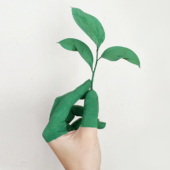 GIMED Support Program For Green Startups