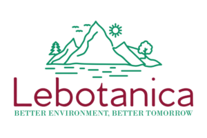 Lebanotica Logo