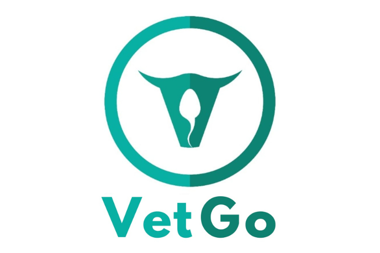 VetGo-Logo-750x500