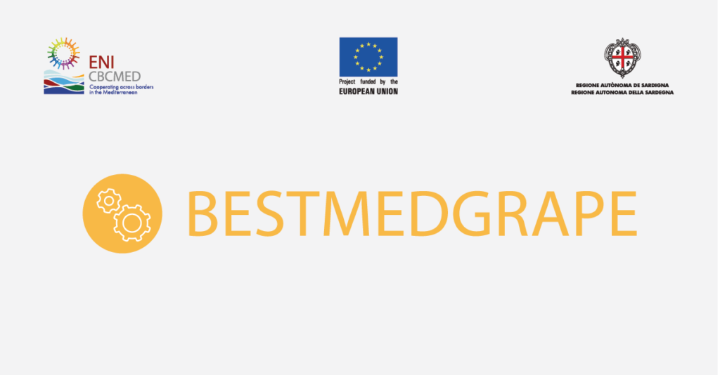 BESTMEDGRAPE - logo
